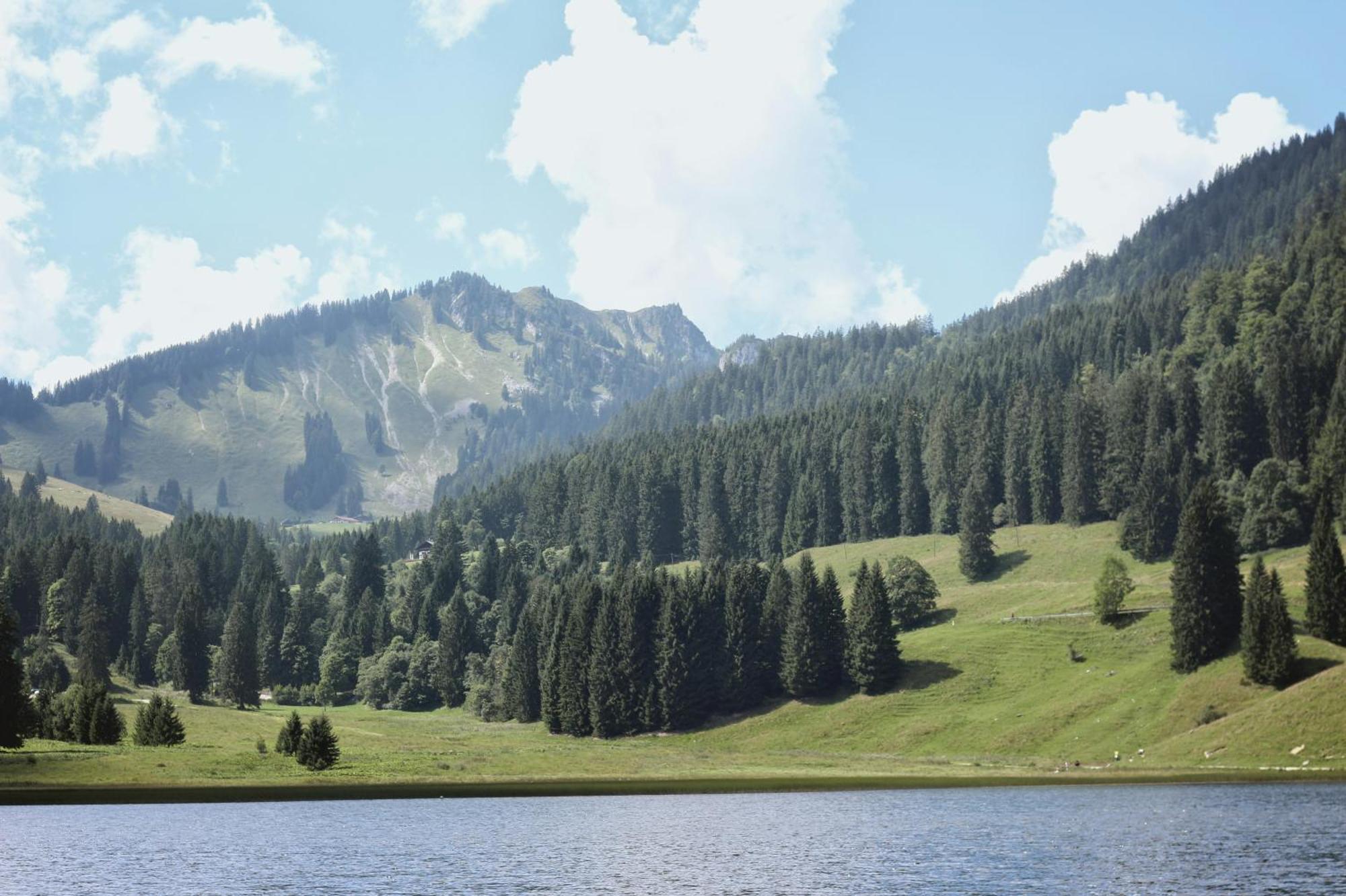 Ferienwohnung "Seeruhe" - Berge, See Und Natur Am Spitzingsee Schliersee Buitenkant foto